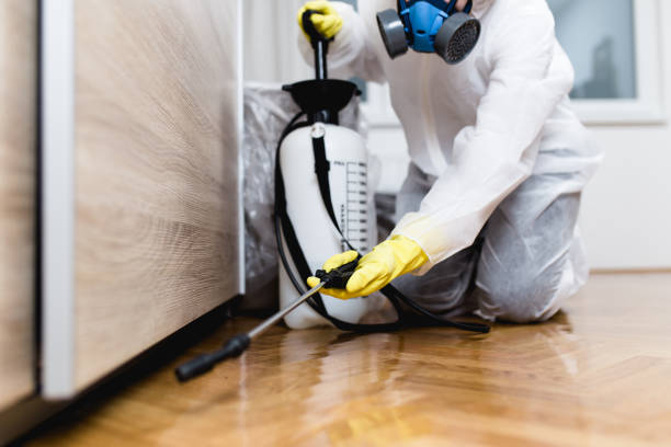 Best Pest Control for Businesses  in Ridgecrest, CA
