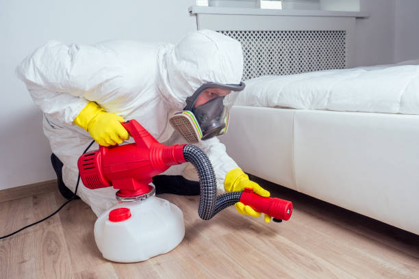 Best Pest Inspection Near Me  in Ridgecrest, CA