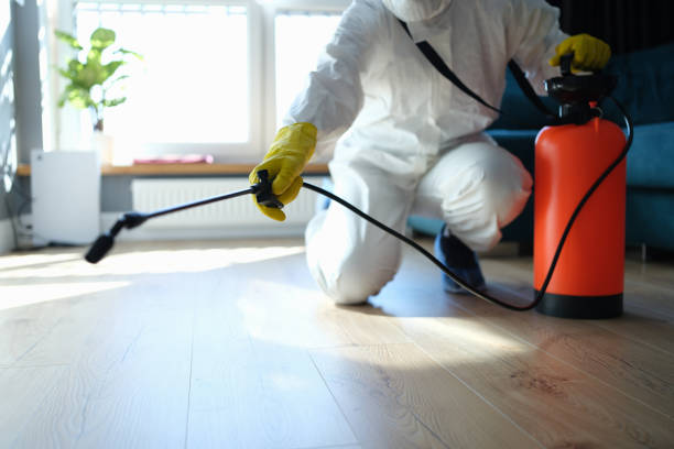 Best Flea Control Services  in Ridgecrest, CA