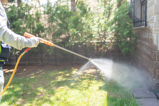 Best Pest Control Near Me in Ridgecrest, CA